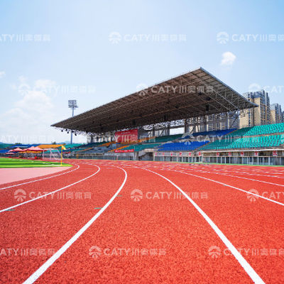 Schock Absorptie Athletics Track Material EPDM Rubber Granules door Praktische EPDM Crumb Rubber Carriers & Distributor