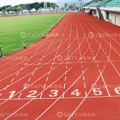 Warm verkoop milieuvriendelijke doorlaatbare loopbaan voor duurzame en groene oefengebieden